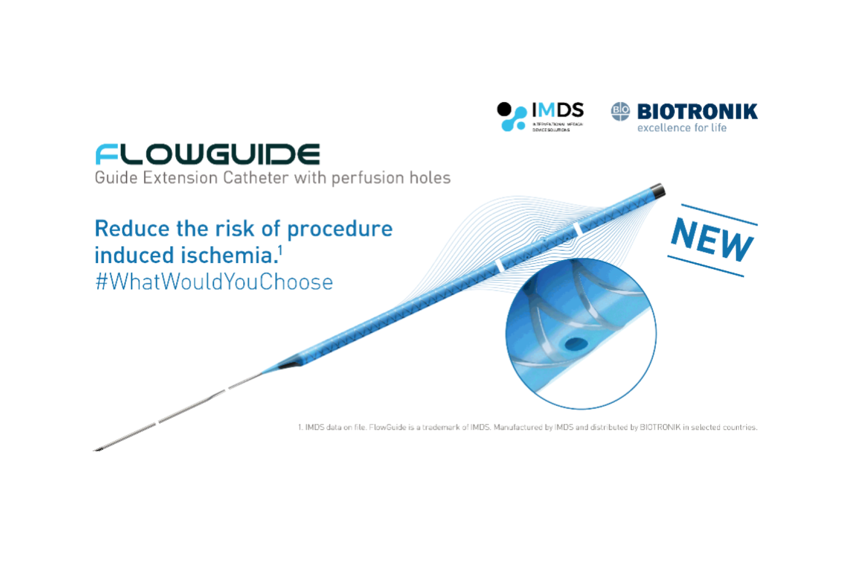 FlowGuide guide extension catheter