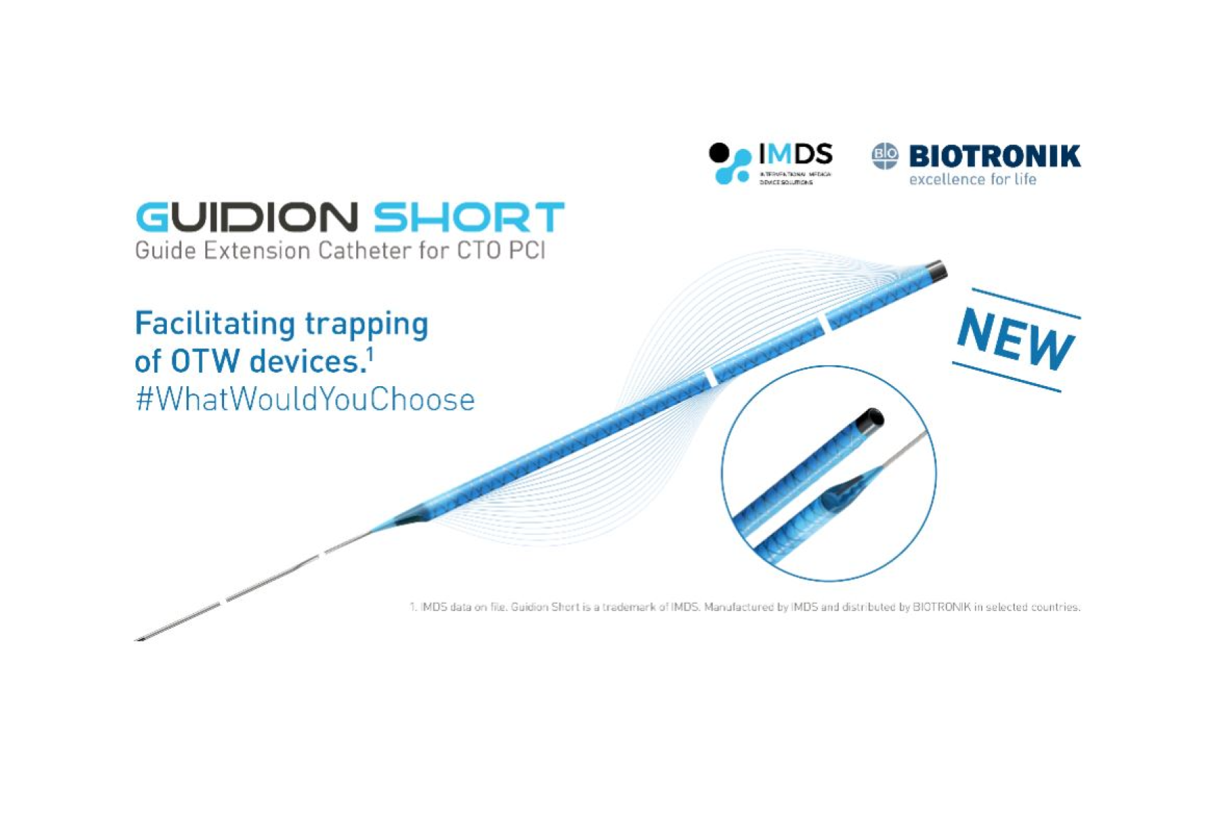 Guidion Short guide extension catheter